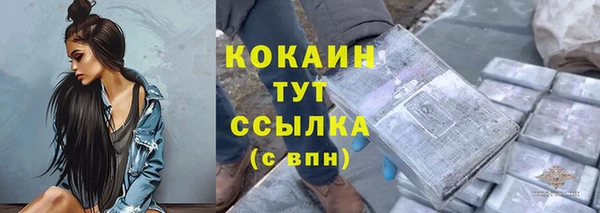дживик Аркадак