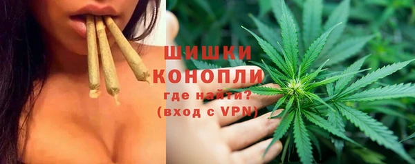 дживик Аркадак